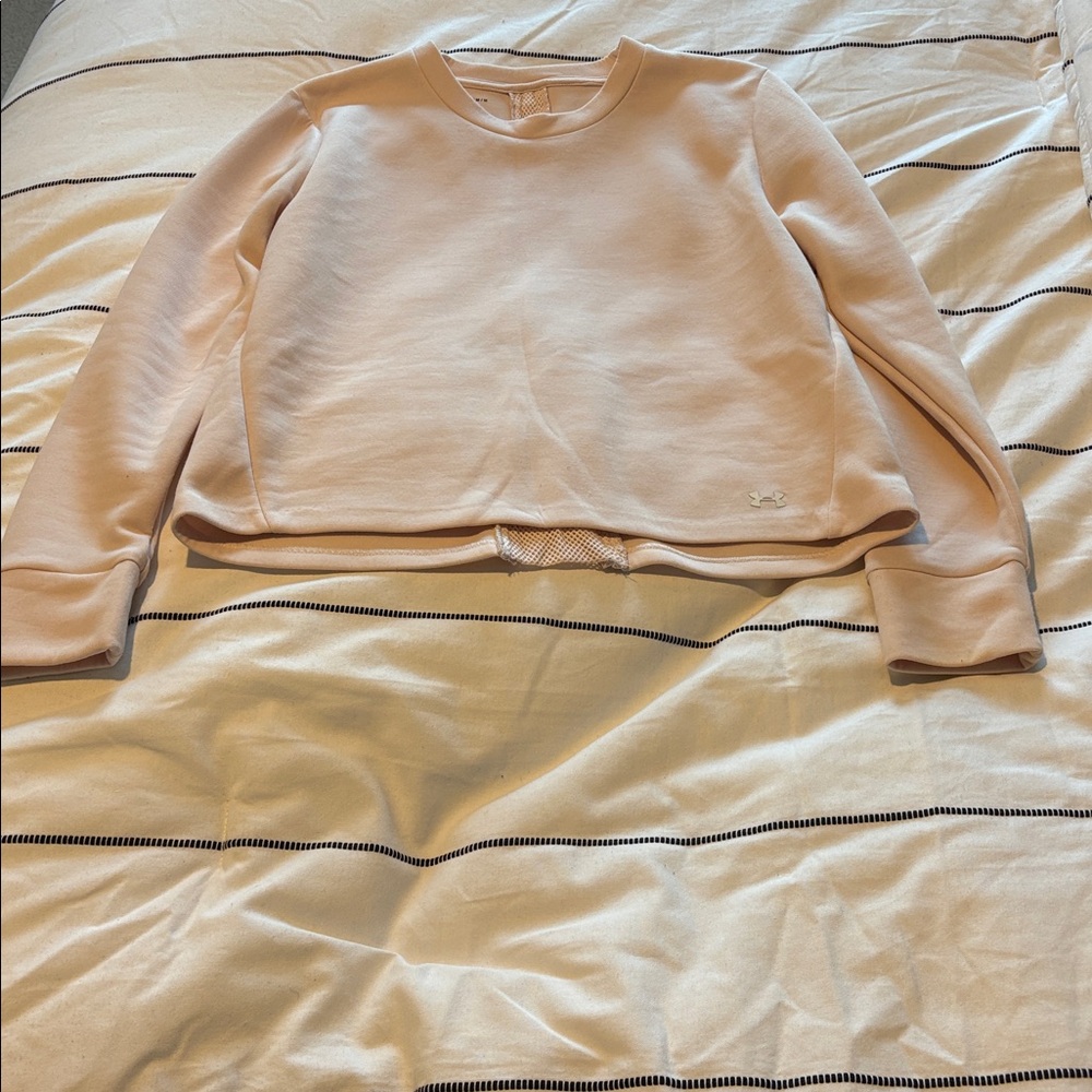 Light Pink Cropped Sweatshirt